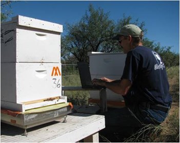 /ARSUserFiles/48464/William Meikle with hive scale and computer.jpg